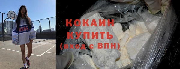 сатива Арсеньев