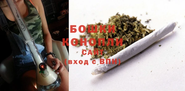 apvp Аркадак
