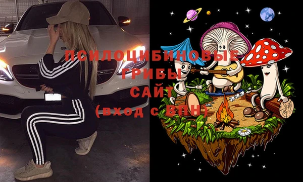 прущие грибы Армянск