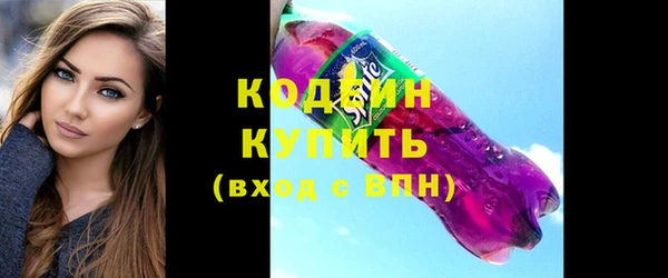 шишки Аша