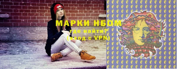 прущие грибы Армянск