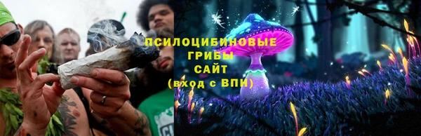 прущие грибы Армянск