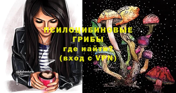apvp Аркадак